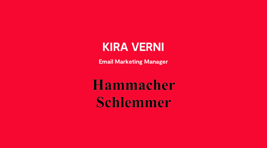 The Photo Organizer Case - Hammacher Schlemmer