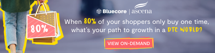 The Advanced Guide to Customer Lifecycle Marketing Bluecore